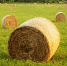 Нажмите для просмотра в полном размере... - Газета Кулебакский металлист