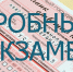 В Нижегородской области пройдут пробные экзамены в рамках подготовки к ЕГЭ - Администрация городского округа