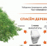 Всероссийский экомарафон - Газета Кулебакский металлист