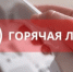 График работы телефонной «Горячей линии» по вопросам приема в первый класс в 2025 году - Город Кулебаки