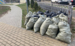 Приглашаем принять участие в уборке территорий в рамках ежегодного Всероссийского экологического субботника!