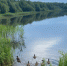 О безопасности на воде летом - Город Кулебаки