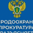 Нижегородская межрайонная природоохранная прокуратура разъясняет порядок уплаты экологического сбора - Город Кулебаки