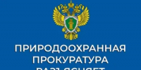 Нижегородская межрайонная природоохранная прокуратура разъясняет порядок уплаты экологического сбора - Город Кулебаки